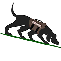 Canine Searches – 2019 Update