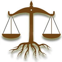 Introduction to the DEP and Environmental Law Defense