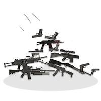 Extreme Risk Protection Orders